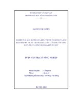 Nghiên cứu ảnh hưởng của kích thước củ giống và các biện pháp kỹ thuật thu hoạch, xử lý củ giống tới năng suất, chất lượng hoa loa kèn tứ quý 