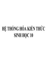 he thong kien thuc Sinh 10