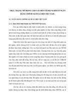 THỰC TRẠNG MỞ RỘNG CHO VAY ĐỐI VỚI HỘ NGHÈO Ở NGÂN HÀNG CHÍNH SÁCH XÃ HỘI VIỆT NAM