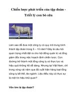 Chiến lược phát triển của tập đoàn