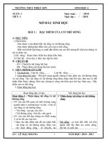 Bài soạn Giáo án lớp 6 chuẩn(hai cột)