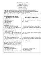 Bài giảng giao an CKTKN