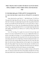 THỰC TRẠNG CHẤT LƯỢNG TÍN DỤNG TẠI NGÂN HÀNG NÔNG NGHIỆP VÀ PHÁT TRIỂN NÔNG CHI NHÁNH HÀ NỘI