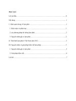 Tình hình lạm phát ở Việt Nam năm 2012 và một số giải pháp chủ yếu để kiềm chế lạm phát trong thời gian tới