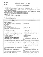 GA Lớp 4( Tuần 15-18)