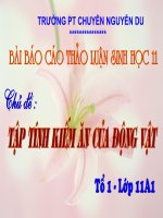 Bài soạn tap tinh san bat o dong vat