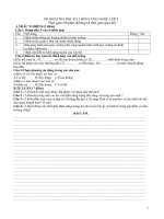 DE THI HK1 CN 8 -2010-2011