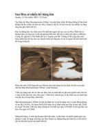 Sao Hỏa có nhiều hồ băng lớn