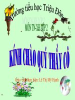 GATHI GVDG -GSMTXQNO