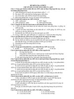 Gián án kiểm tra 15 phút chuyên đề cơ chế x2 ADN