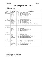 GA lớp 4- tuần 18- Chuẩn KTKN, KNS-2010-2011