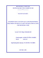 Luận văn giải pháp nâng cao năng lực cạnh tranh trong hoạt động tín dụng của quỹ tín dụng trung ương chi nhánh bắc ninh 