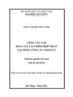 CÔNG TÁC LẬP BÁO CÁO TÀI CHÍNH HỢP NHẤT TẠI TỔNG CÔNG TY CIENCO 5