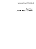 Real-Time Digital Signal Processing