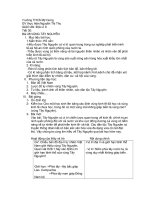 Tiết 30: Vùng Tây Nguyên