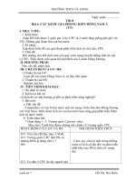 Gián án Bài 6: CAC NƯỚC PHONG KIẾN Ở ĐÔNG NAM Á