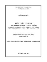 Phát triển tín dụng cho doanh nghiệp tại chi nhánh ngân hàng TMCP nam việt tại đà nẵng 