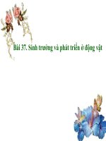 Gián án Bài 37: Sinh trưởng và phát triển ở động vật
