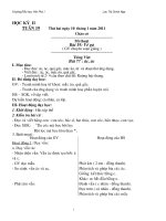 Bài soạn Giáo án Lớp 1 Tuần 19(10-11)