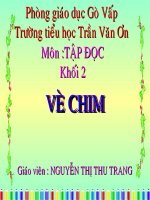 Bài soạn TAP DOC VE CHIM