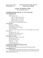 Bài giảng báo cáo tháng 12/2010