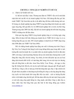 Hoàn thiện quy trình bán hàng trực tuyến trên website của công ty TNHH mẹ tròn con vuông