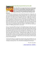 Bảo quản quả loòng bong bằng dung dịch điện hoạt hóa anôlít