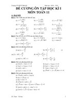 Đề cương học kì I môn toán 11