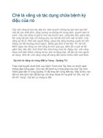 Chè lá vằng và tác dụng chữa bệnh kỳ diệu của nó 