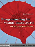 Giáo trình giảng dạy Visual Basic 2008