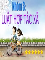 Luật hợp tác xã 