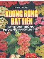 Kỹ thuật trồng phương pháp lai tạo xương rồng Bát Tiên