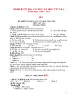 BỘ ĐỀ KIỂM TRA CÁC HỌC KỲ VẬT LÝ 6