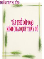 Bài soạn ĐẠI CÁO BÌNH NGÔ