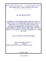 Luận văn nghiên cứu tình hình phát sinh gây hại và một số yếu tố ảnh hưởng đến sâu cuốn lá nhỏ hại lúa CNAPHALOCROSIS MEDINALIS GUENEE  và biện pháp phòng chống trong điề 