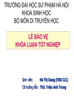 Tài liệu xây dựng website thăm quan ảo trạm trại phục cụ cho môn cơ sở chọn giống