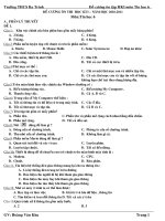 Đề cương ôn tập môn tin 6 HKI