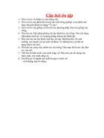 Câu hỏi ôn tập kiểm tra 1 tiết