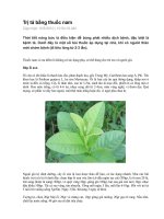 Trị tả bằng thuốc nam