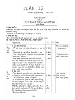 Giáo án lớp 3 Tuần 12