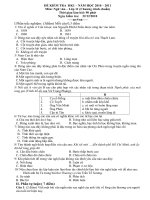 Tài liệu Đáp án+ Đề thi 11-HK1(10-11)