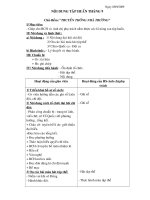 công tác đội - sao -BCH