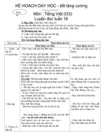 Giáo án chiều tuần 17