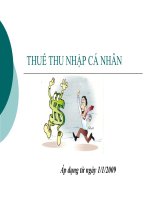 THUẾ THU NHẬP cá NHÂN - Áp dụng từ ngày 1/1/2009