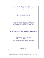 Phát triển dịch vụ hỗ trợ kinh doanh cho các doanh nghiệp nhỏ và vừa trên địa bàn huyện gia lâm hà nội 
