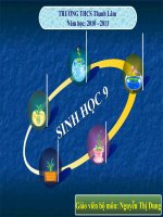 Gián án Bài 36. Các phương pháp chọn lọc