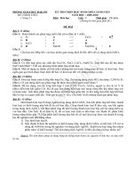 Bài soạn De Hoa HSG V2-09-10-phong