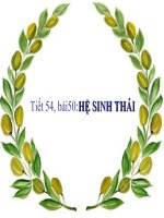 Bài 50. Hệ Sinh Thái
