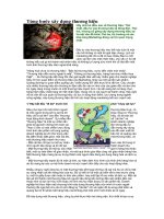 Từng bước xây dựng thương hiệu