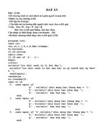 Đáp án tin HSG 2010-2011 NH